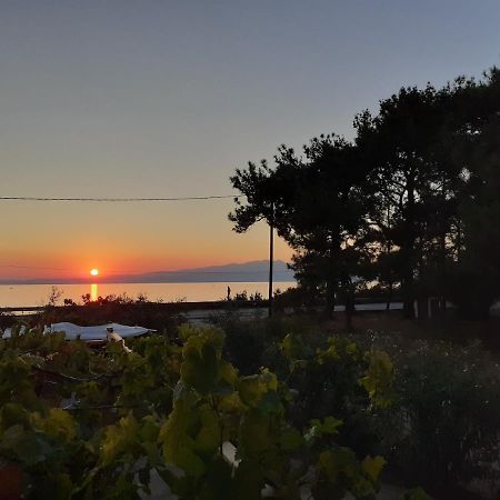 Το Σπίτι Με Το Πηγάδι - Wellcottage Thassos Skála Kallirákhis المظهر الخارجي الصورة