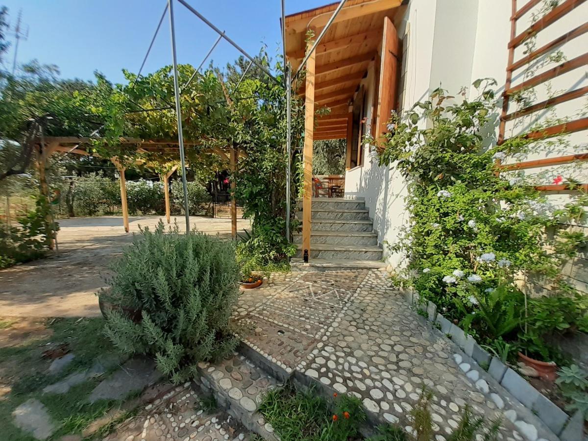 Το Σπίτι Με Το Πηγάδι - Wellcottage Thassos Skála Kallirákhis المظهر الخارجي الصورة