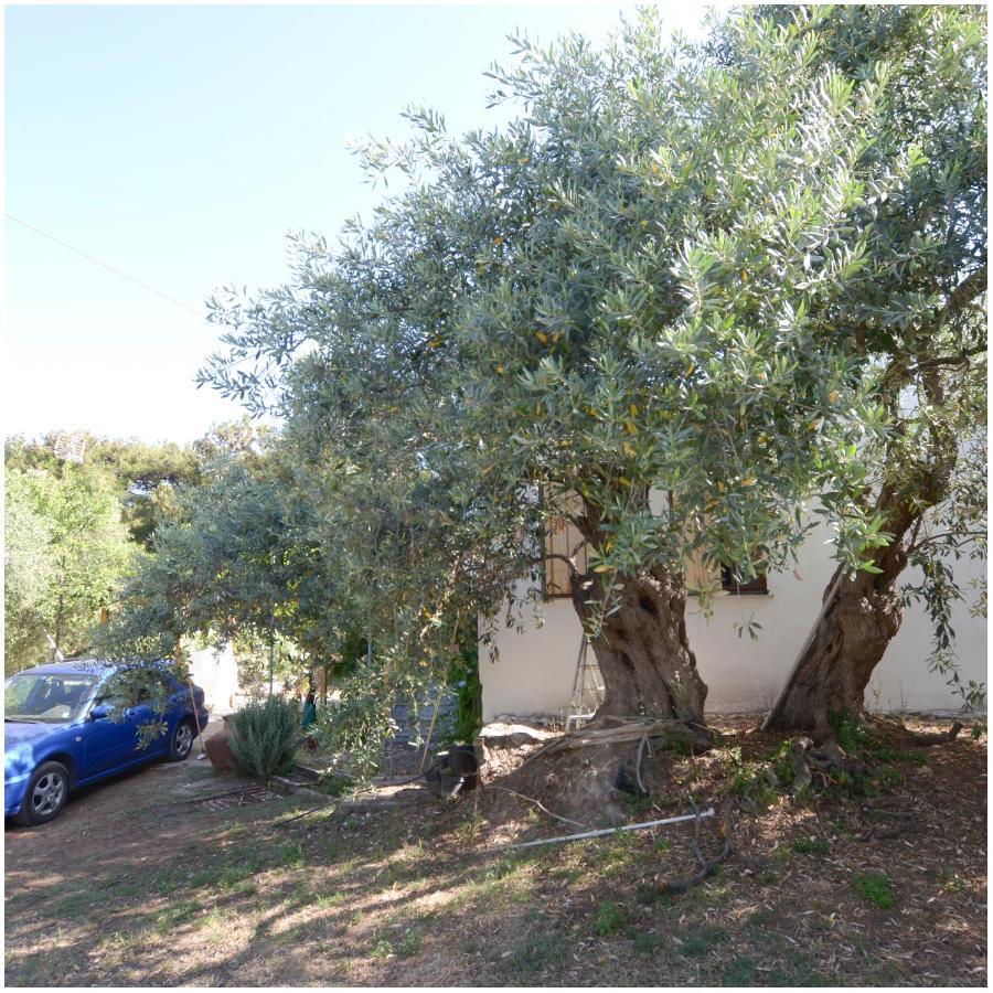 Το Σπίτι Με Το Πηγάδι - Wellcottage Thassos Skála Kallirákhis المظهر الخارجي الصورة