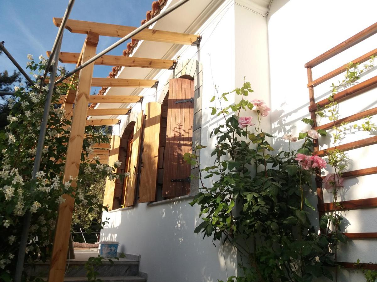 Το Σπίτι Με Το Πηγάδι - Wellcottage Thassos Skála Kallirákhis المظهر الخارجي الصورة